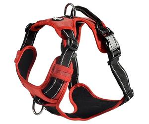Bobby Rando Walk - Harnais pour Chien, Moyen Petit Grand en Nylon, Sûr, Confortable, Réfléchissant, Ajustable, Rouge, L/46-70x2,5 CM