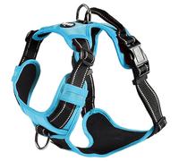 Bobby Rando Walk Harnais pour Chien, Petit Chien, en Nylon, sûr, Confortable, réfléchissant, réglable, Bleu, S/32-48x1,6 cm