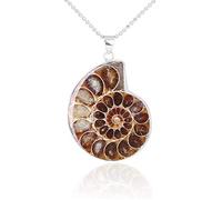 BOBEINI Naturel Ammonite Fossiles Pendentif Bijoux Ton Argent Ammonite Fossiles Pierre Enveloppé Pendentif Collier Bijoux De Mode
