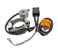 Bobine Allumage Bobine D'allumage Moto Rotor Stator Magnéto CDI Ensemble Pour Suzuki Pour RM85L 2003-2020 Pour RM85 2002-2017 Pour RM80 1996-2001 Accessoire D'allumage