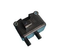 Bobine Allumage Bobine D'allumage Pour Twin Cam 1999-2006 Pour Dyna Pour FXD Pour FLST Pour FXST Pour Sportster 883 1200 0,5 OHM 31655-99 3165599 16059 Accessoire D'allumage