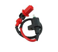 Bobine Allumage Bobine D'allumage Racing Performance Pour Moteur 50cc, 150cc, 250cc, Pour Hammerhead Pour Carter Pour Joyner Pour Scooter, Kart, Dune Buggy