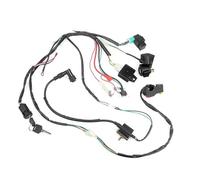 Bobine Allumage Ensemble Câblage Stator Faisceau Câbles CDI Avec Redresseur allumage Unité Bobine Pour ATV Quad Électrique 50 70 90 110CC Allumages