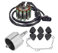 BOBINE ALLUMAGE Joint d'étanchéité de rotor volant d'inertie générateur bobine stator moto pour YAMAHA YZF-R1 04-08 FZ8 FZ8N(1 Set)