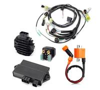 Bobine Allumage Kit Reconstruction Faisceau Câbles Bobine D'allumage CDI Régulateur 5YT-82590/85540-00-00 Pour Raptor 350 Pour YFM350R 2004-2013 Bobines D'allumage