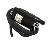 Bobine Allumage Maxiscooter Adaptable Honda 125 Sh Injection, Pantheon, Silver Wing, 110 Lead-Aprilia 125 Leonardo, Scarabeo-Sym