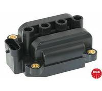Bobine Allumage pour Dacia Logan Sandero Renault Clio III IV 1.2 16v Salut -