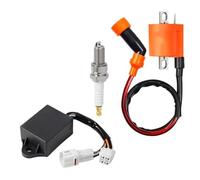 Bobine Allumage pour Timberwolf 250 YFB250 FW 4x4 1994-2000 pour Bear Tracker 250 YFM250 1999-2000 4BD-85540-10-00 Allumeur CDI Bobine D'allumage Bobine D'allumage Moto