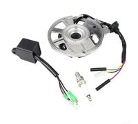 Bobine Allumage Scooter Magnéto Stator Compatible | Alliage pour aluminium et pour cuivre haute conductivité, résistance chaleur, performance longue durée