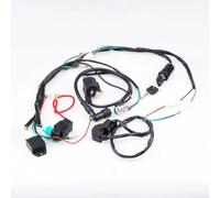 Bobine allumage stator Faisceau De Câblage Électrique Complet Pour Moto, Bobine D'allumage De Stator CDI Pour 50cc-110cc, ATV, Vélo, Style De Voiture