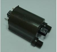 Bobine allumage Tour Max