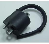 Bobine allumage Tour Max