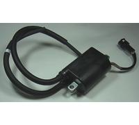 Bobine allumage Tour Max