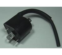 Bobine allumage Tour Max