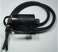 Bobine allumage Tour Max