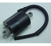 Bobine allumage Tour Max