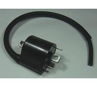 Bobine allumage Tour Max