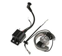 Bobine D’allumage Générique pour 50 SX Aventure, Pièce de Moteur, Boulonnée ou À Visser, Compatible avec Motocyclette