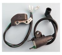 Bobine D'allumage 2 Pièces/ensemble ET950 ET650 IE45F TG950 Avec Bobine D'allumage Magnéto Pour Générateur TIGER 950W 1000W 450W 650W 800W 2 Temps Accessoire D'allumage