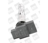 BERU Bobine d'allumage ZSE031 SAE – Compatible Audi A8/Bentley Continental/VW Passat Phaeton