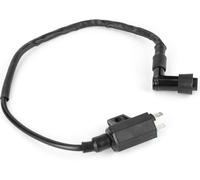 Bobine d'allumage 21121-1160 adaptée pour Kawasaki KLF 220/250/400 BAYOU KVF 300/360/400 PRAIRIE