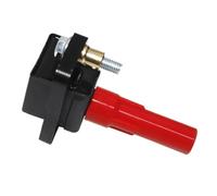 Bobine d'allumage 22433-AA411 22433-AA441 22433-AA530 Compatible avec OUTBACK 3.0 2003-2009 LEGACY III IV TRIBECA B9 3.0L 3.6L