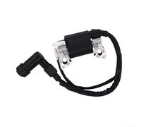 Bobine d'allumage 30500-Z07-023 pour générateur EB2000I EU2000I, module d'allumage portable, pièce de rechange directe, pour une installation facile, aucune programmation requise