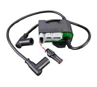 Bobine d'allumage 512060157 compatible avec Expedition Sport Freestyle Back Country Park Session 550F 2007 2008 2009