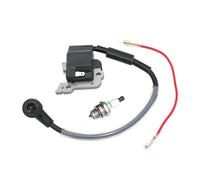 Bobine d'allumage A411000880 for C-250 C230 F21 T230 T230X T230XR T231 C230PT T261 T261B M230 M230B F230 T-250 P230S