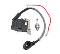 Bobine d'allumage A411000880 for C-250 C230 F21 T230 T230X T230XR T231 C230PT T261 T261B M230 M230B F230 T-250 P230S