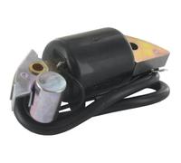 Bobine d'allumage adaptable pour HONDA modèles G150, G200, G300, G400