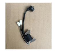 Bobine d'allumage adaptée au moteur à fréquence variable Lni 3500i LC3500i 3,5 kva T21C 270920394 - 0001