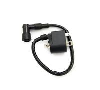 Bobine d'allumage adaptée for LT50 LT 50 QUADRUNNER 50 CDI avec CDI for Suzuki ATV