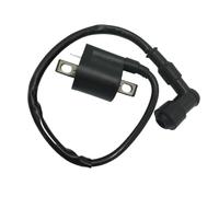 Bobine d'allumage adaptée for Polaris Trail Boss Xpess 250 330 Euro 350L for Xpedition 425 for Magnum 500