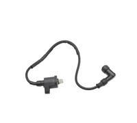 Bobine d'allumage Allumages Moto Pour Goes G125 L Pour M 2008 2009 2010 G125 RT Pour Rétro G125 RT Pour Clásico/Pour Retro 2008 2009 2010 2011 Magneto Coil