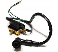 Bobine d'Allumage Amparts Pour Moto 139FMB Benzer Barton Kingway Quad