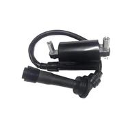 Bobine D'allumage ASSY Pour Benelli BN251 BN250 TNT25 TNT250 BN Pour TNT 25 250 251 BJ250 TRK251 Pour Leoncino 250 TRK 251 Bobine D'Allumage
