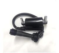 Bobine D'allumage ASSY Pour Benelli BN251 BN250 TNT25 TNT250 Pour BN TNT 25 250 251 BJ250 TRK251 Pour Leoncino 250 TRK 251 Bobine D'Allumage