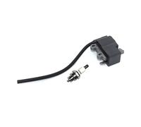 Bobine d'allumage avec BM6A for Ventilateur ES-250 PB-250LN PB-250 ES-252 PB-252 A411000501 A411000500 BPM8Y BPMR8Y A425000000