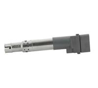 BorgWarner (BERU) Bobine d'allumage ZSE 044