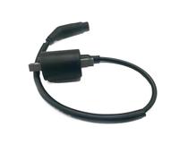 Bobine d'allumage avec relais solénoïde 260CC 300CC 400 500 520 550 22012 EFI Compatible avec Linhai LH260 LH300 ATV Quad UTV(IGNITION COIL)