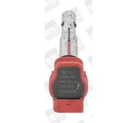 Bobine d'allumage Beru avec cosse de bougie pour Audi A4 A6 A8 Lamborghini Porsche VW Touareag