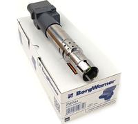 Bobine d'allumage Beru pour Audi A3 TT Porsche Cayenne Seat Leon VW Golf Eos