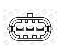 Bobine d'allumage Version de raccord SAE ZS041 BorgWarner (BERU)
