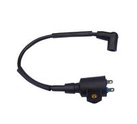 Bobine D'allumage Bobine Allumage avec Bobine D'allumage Magnéto pour Générateur pour Tiger 450W 650W 800W 950W 1000W 2 Temps ET950 ET650 IE45 TG950(D)