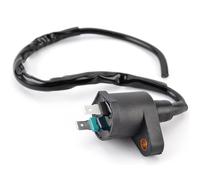Bobine D'Allumage Bobine D'allumage Haute Pression Pour Polaris Pour Outlaw Pour Sportsman Pour Arctic Cat Pour E-TON Pour Viper