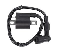 Bobine D'allumage Bobine d'allumage pour Arctic Cat 250 300 400 454 500 pour Raptor Timberwolf 250 Blaster Moto 4 Big Bear350 TTR 225 230 Kodiak 400