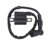 Bobine D'allumage Bobine D'allumage pour Arctic Cat 250 300 400 454 500 pour Raptor Timberwolf Blaster Moto 4 Big Bear350 TTR, Kodiak