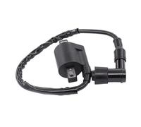 Bobine D'allumage Bobine D'allumage pour Arctic pour Cat pour Raptor pour Timberwolf pour Blaster Moto 4 pour Big pour Bear350 TTR 225 pour Kodiak