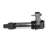 Bobine D'Allumage Bobine D'allumage Pour Chevy Pour Camaro Pour Colorado Pour Equinox Pour Impala Pour Malibu Pour Traverse 12632479(1 PCS)